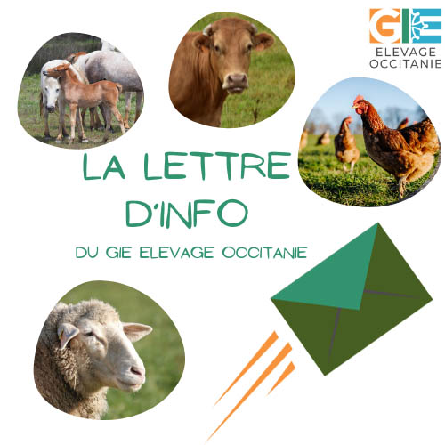 Lettre d'info du GIE